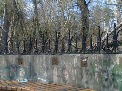 Прикрепленное изображение: Фото1396.jpg